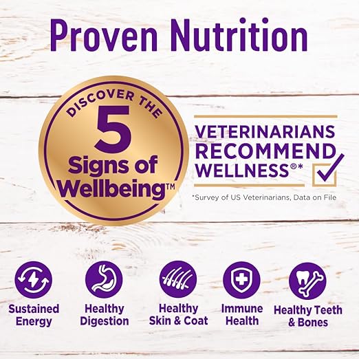 Wellness Complete Health Dry Dog Food with Grains, Made in USA with Real Meat & Natural Ingredients, All Breeds, Adult Dogs (Chicken & Oatmeal, 30-lb) – With Nutrients for Immune, Skin, & Coat Support