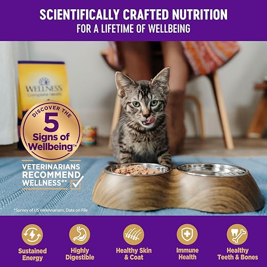 Wellness Complete Health Grain-Free Chicken Entrée Wet Kitten Food - Natural Ingredients with Real Chicken, Brain Development DHA, Essential Fatty Acids and Eye Health Taurine, 3oz Cans (24 Pack)