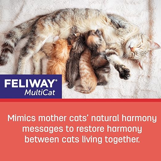 FELIWAY MultiCat Calming Pheromone, 30 Day Refill - 1 Pack