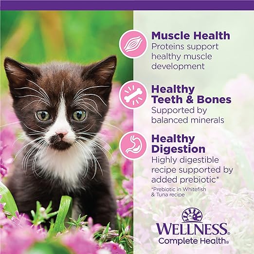 Wellness Complete Health Grain-Free Chicken Entrée Wet Kitten Food - Natural Ingredients with Real Chicken, Brain Development DHA, Essential Fatty Acids and Eye Health Taurine, 3oz Cans (24 Pack)