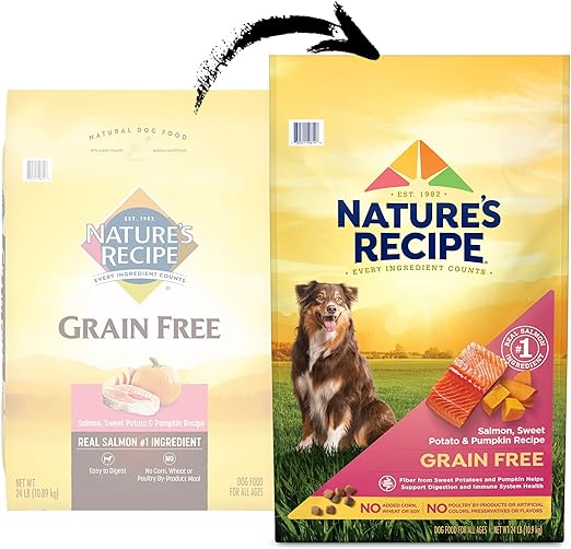 Nature′s Recipe Dry Dog Food, Grain Free Salmon, Sweet Potato & Pumpkin Recipe, 24 lb. Bag